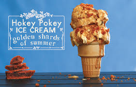 New Zealan favourite ice cream hokey pokey ice cream 